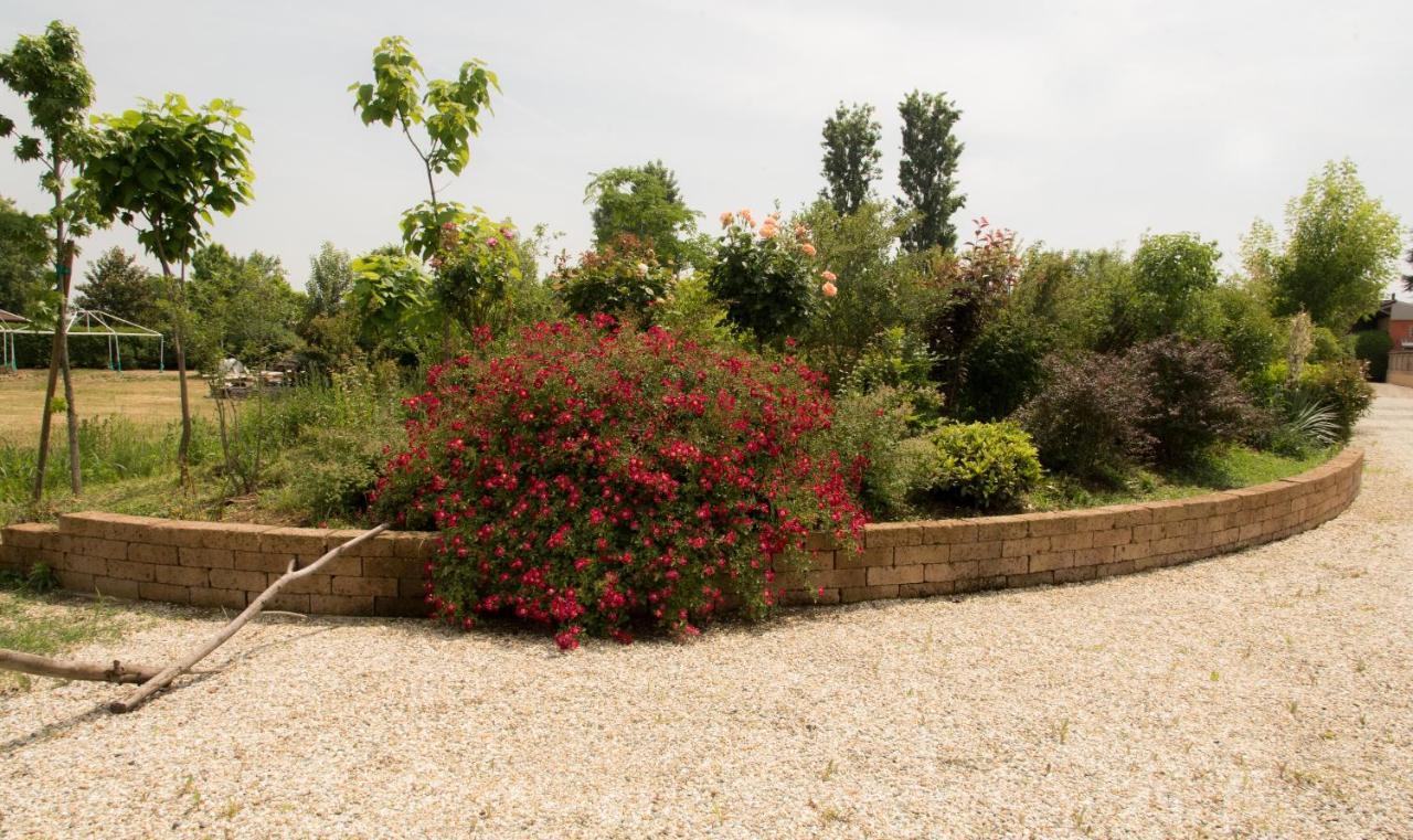 אלסנדריה La Trunera Guest House מראה חיצוני תמונה