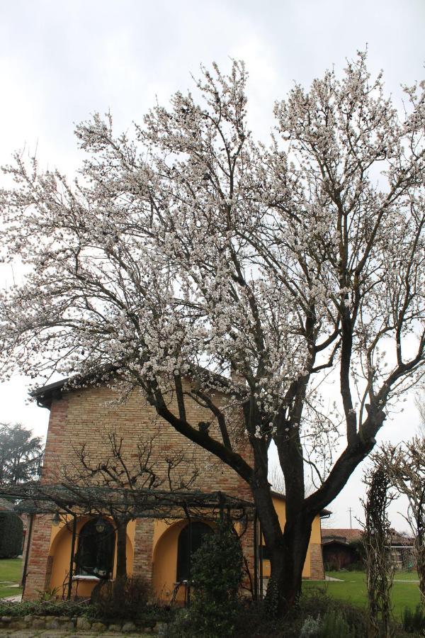 אלסנדריה La Trunera Guest House מראה חיצוני תמונה